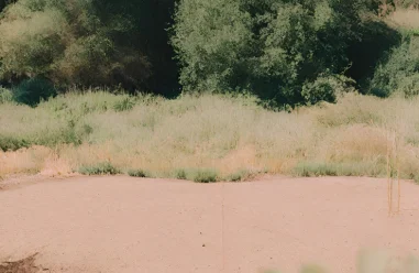 Agencia de Investigacion de Mercados Inmobiliarias